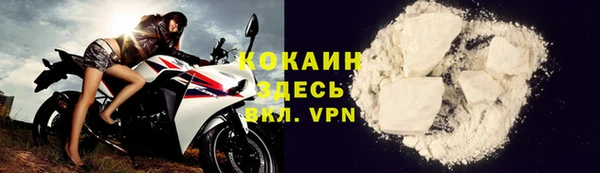 кокс Алексин
