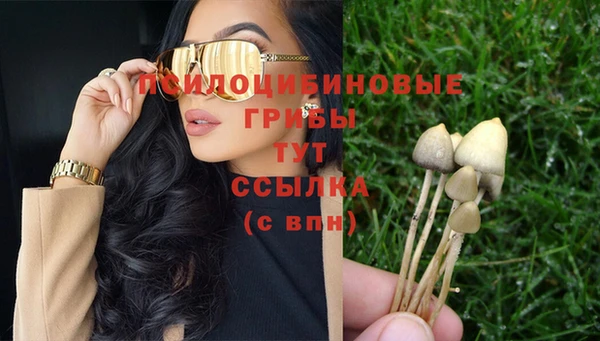 MESCALINE Алзамай