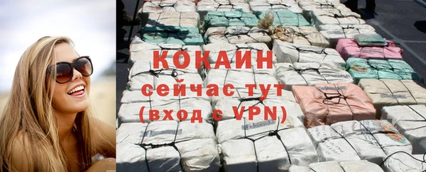 кокс Алексин