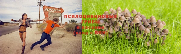 соль курить ск Алексеевка